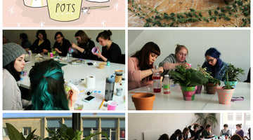 Mind Over Matter - The Guide to Painting Plant Pots